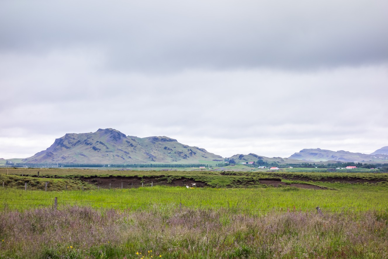 _DSC0456