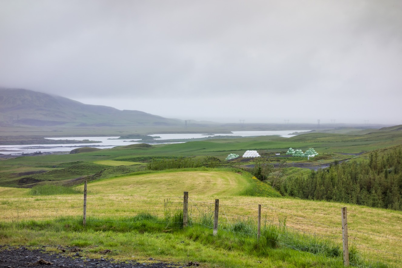 _DSC0519
