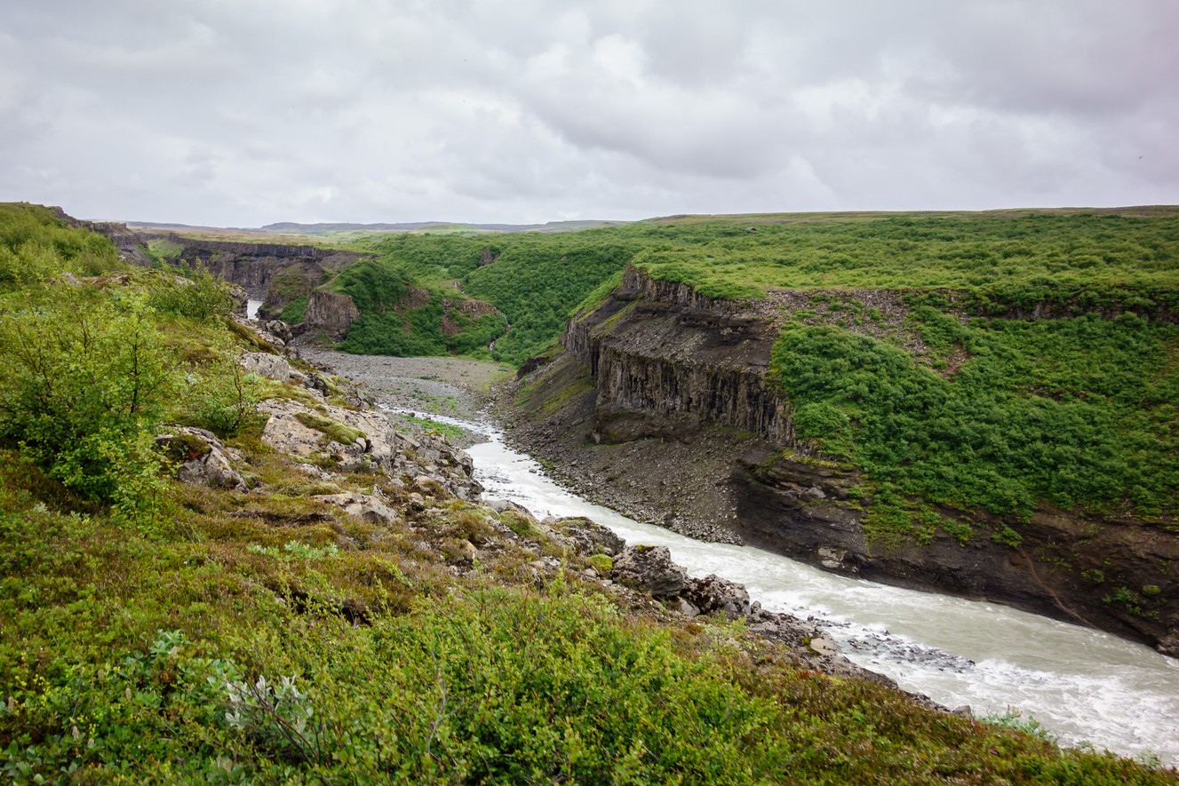 _DSC0679