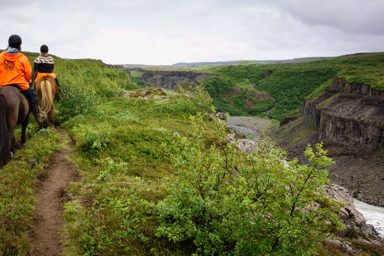 _DSC0680