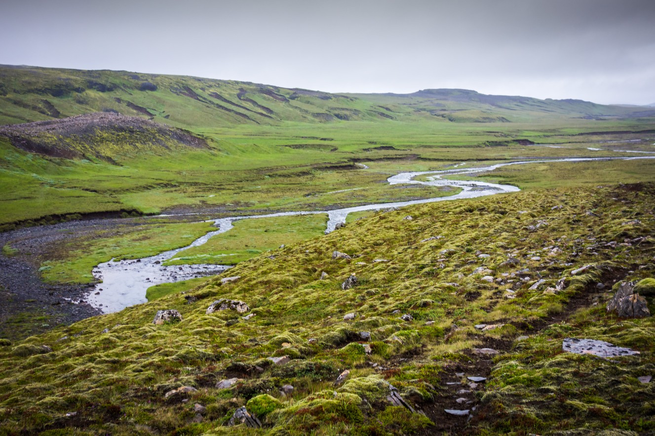 _DSC1379