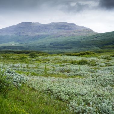 _DSC1025