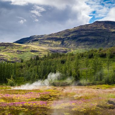 _DSC1145