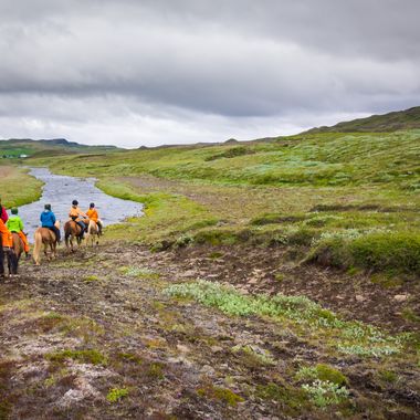 _DSC1254
