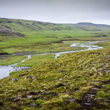 _DSC1379