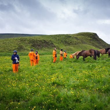 _DSC1457