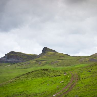 _DSC1528