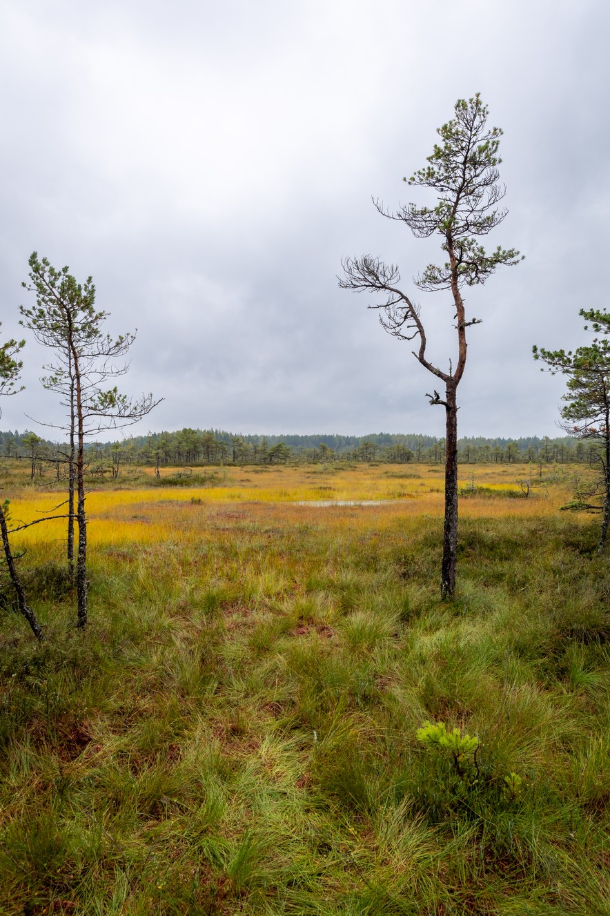 _MG_2622-HDR