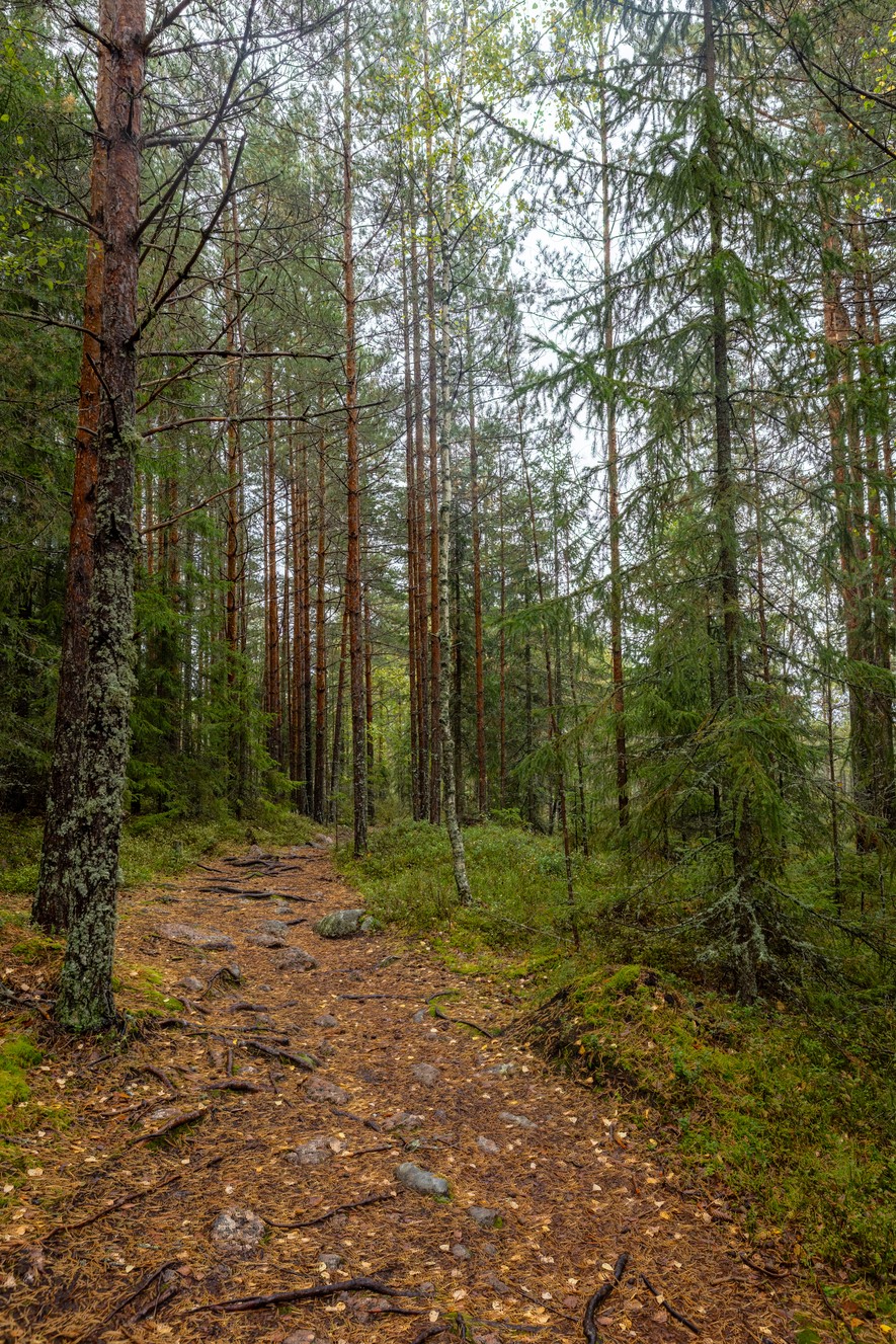 _MG_2706-HDR