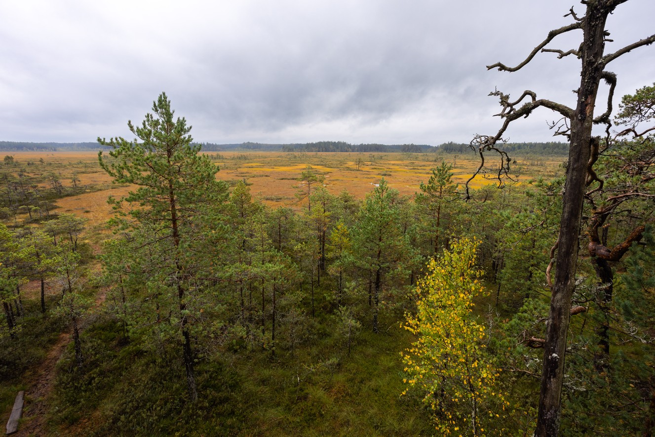 _MG_2727-HDR