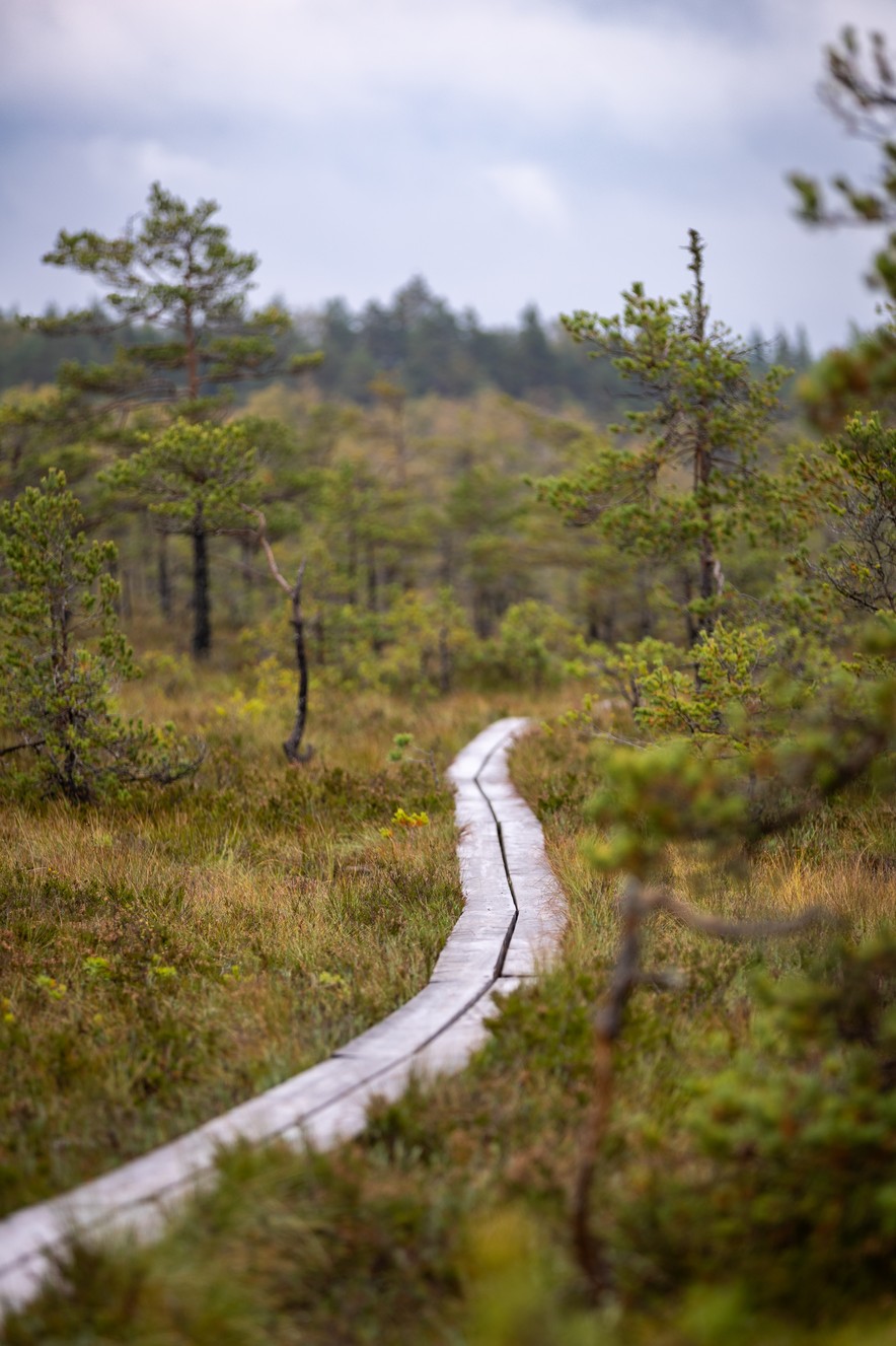 _MG_2751-HDR