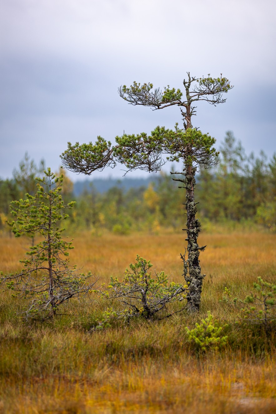 _MG_2781-HDR
