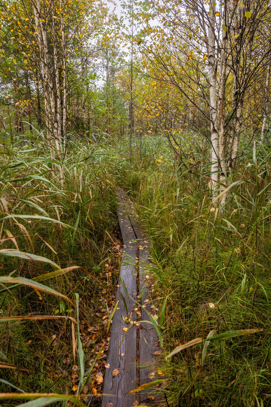 _MG_2820-HDR