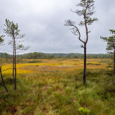 _MG_2622-HDR