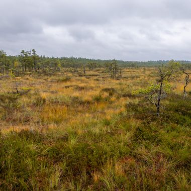 _MG_2663-HDR