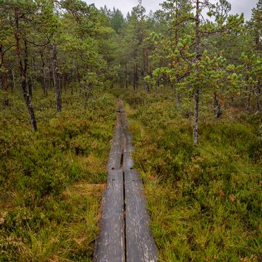 _MG_2700-HDR