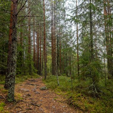 _MG_2706-HDR