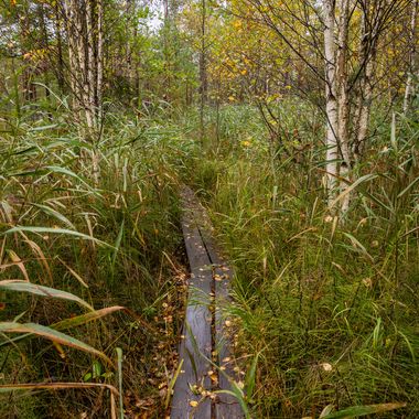 _MG_2820-HDR